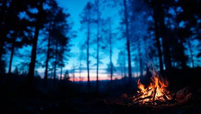 Baldwin Oaks grounds